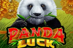 Panda Luck - WINGBET138
