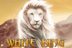 White King - WINGBET138