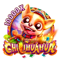 Facai : CHILIHUAHUA - WINGBET138