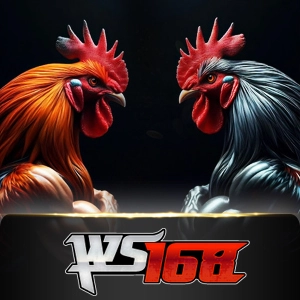 Ws168 Sabung - WINGBET138
