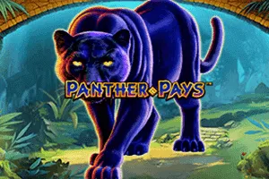 Panther Pays - WINGBET138