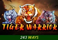 Spadegaming : Tiger Warrior - WINGBET138