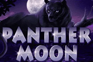 Panther Moon - WINGBET138
