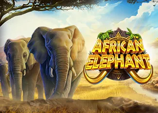 Pragmatic : African Elephant - WINGBET138